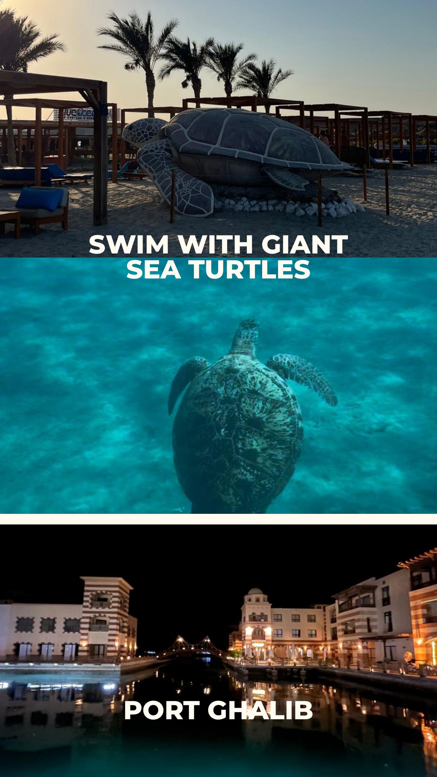The Deep Blue: Marsa Alam's Trip — page 9