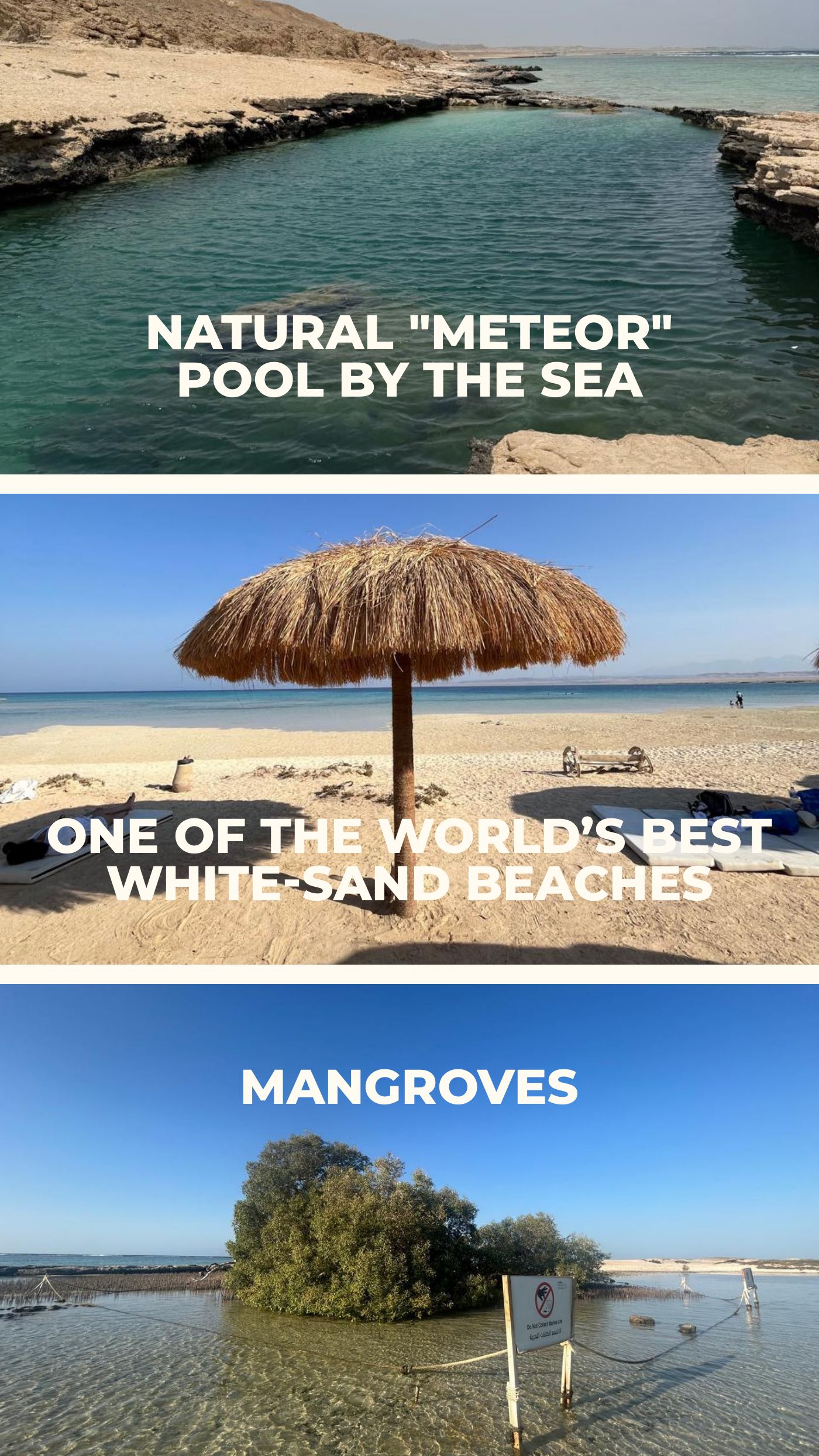 The Deep Blue: Marsa Alam's Trip — page 10