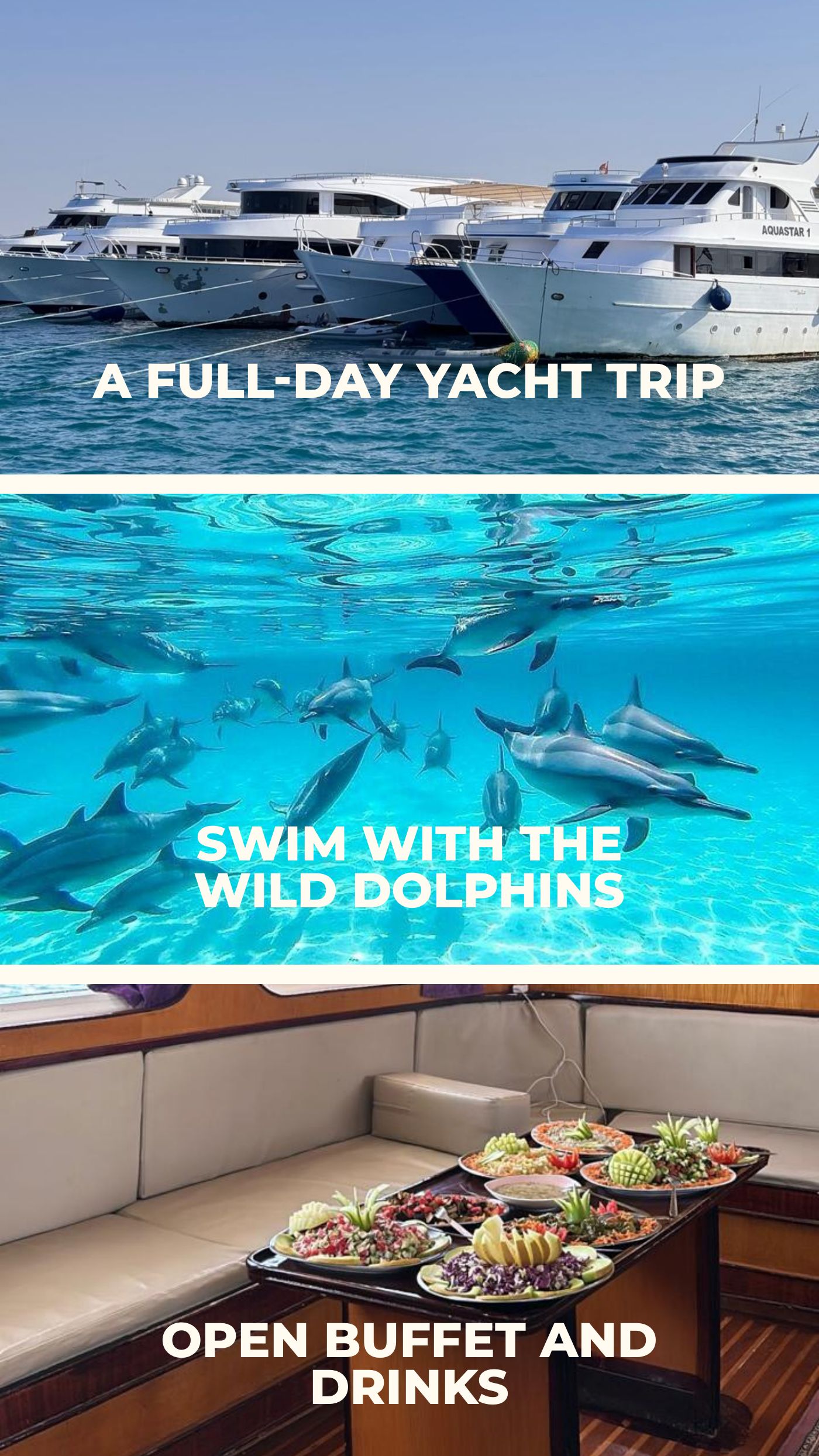 The Deep Blue: Marsa Alam's Trip — page 11